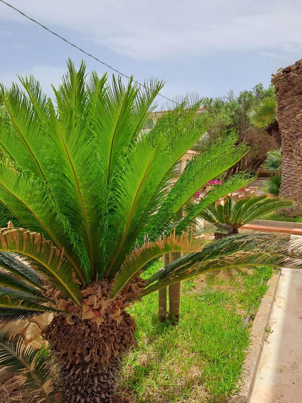 Villa Sul Mare Palazzolo Trappeto  Bagian luar foto